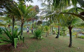 Quintal Da Mata