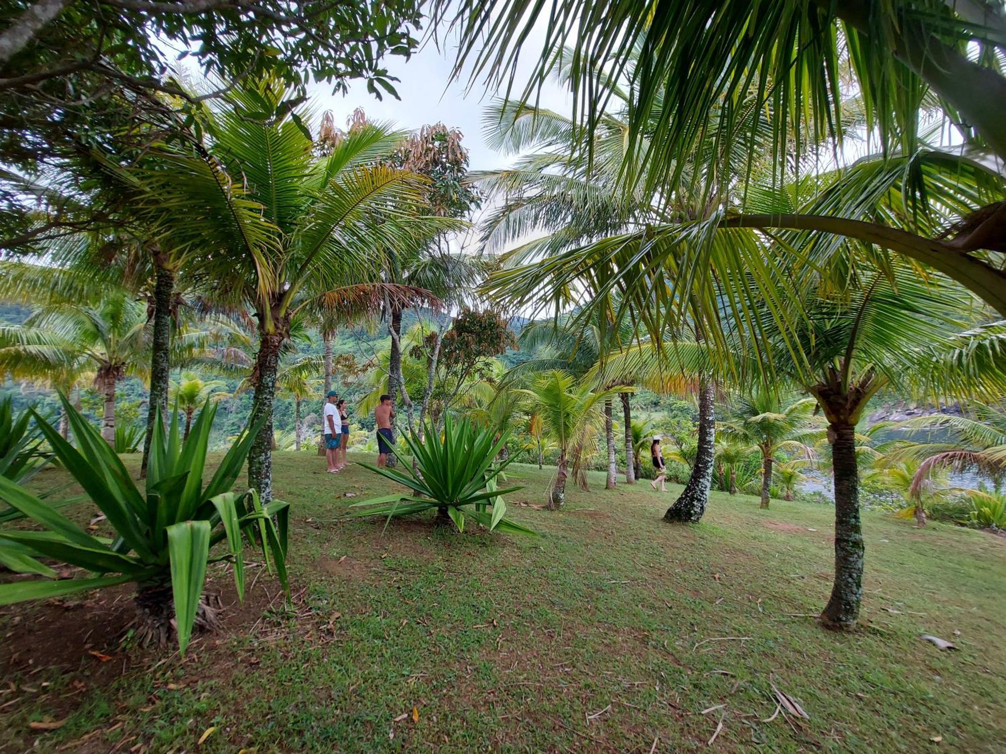 Quintal Da Mata Sao Sebastiao (Sao Paulo) Exterior foto